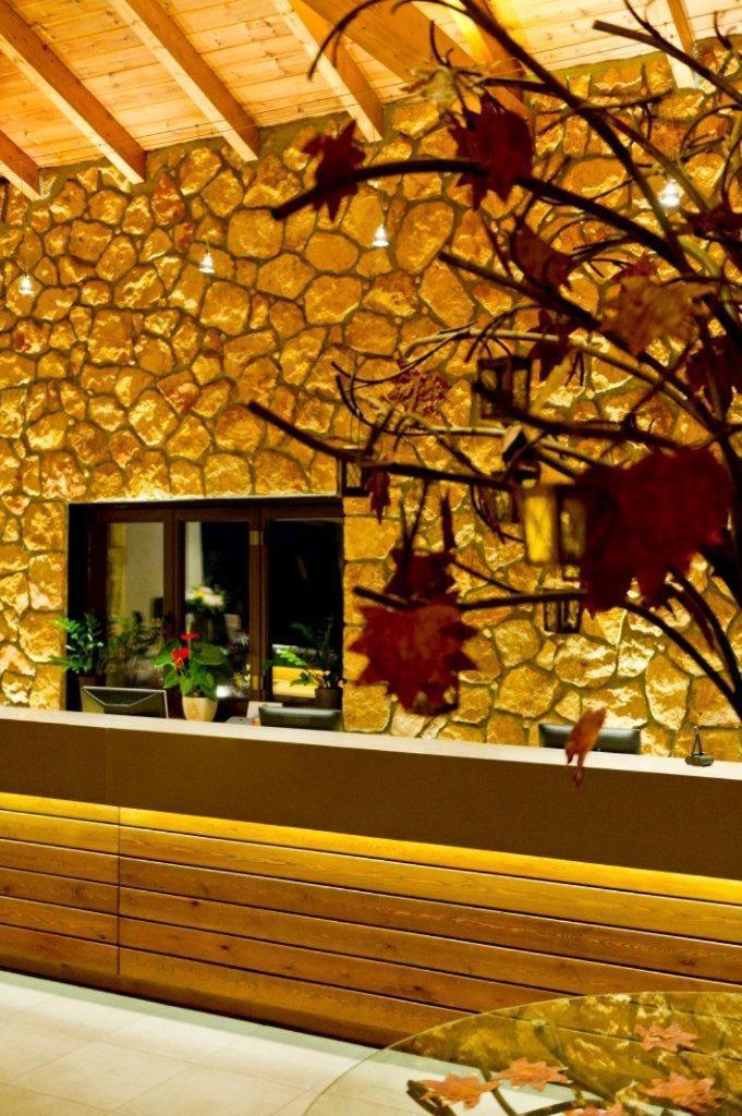 Kato Sinikia Trikalon Pliadon Gi Mountain Resort & Spa מראה חיצוני תמונה